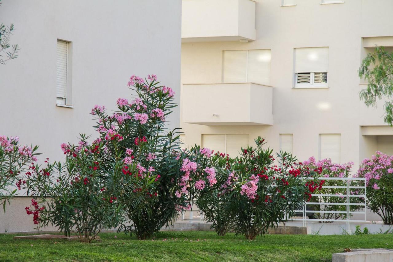 Luce Gold Apartment Zadar Buitenkant foto